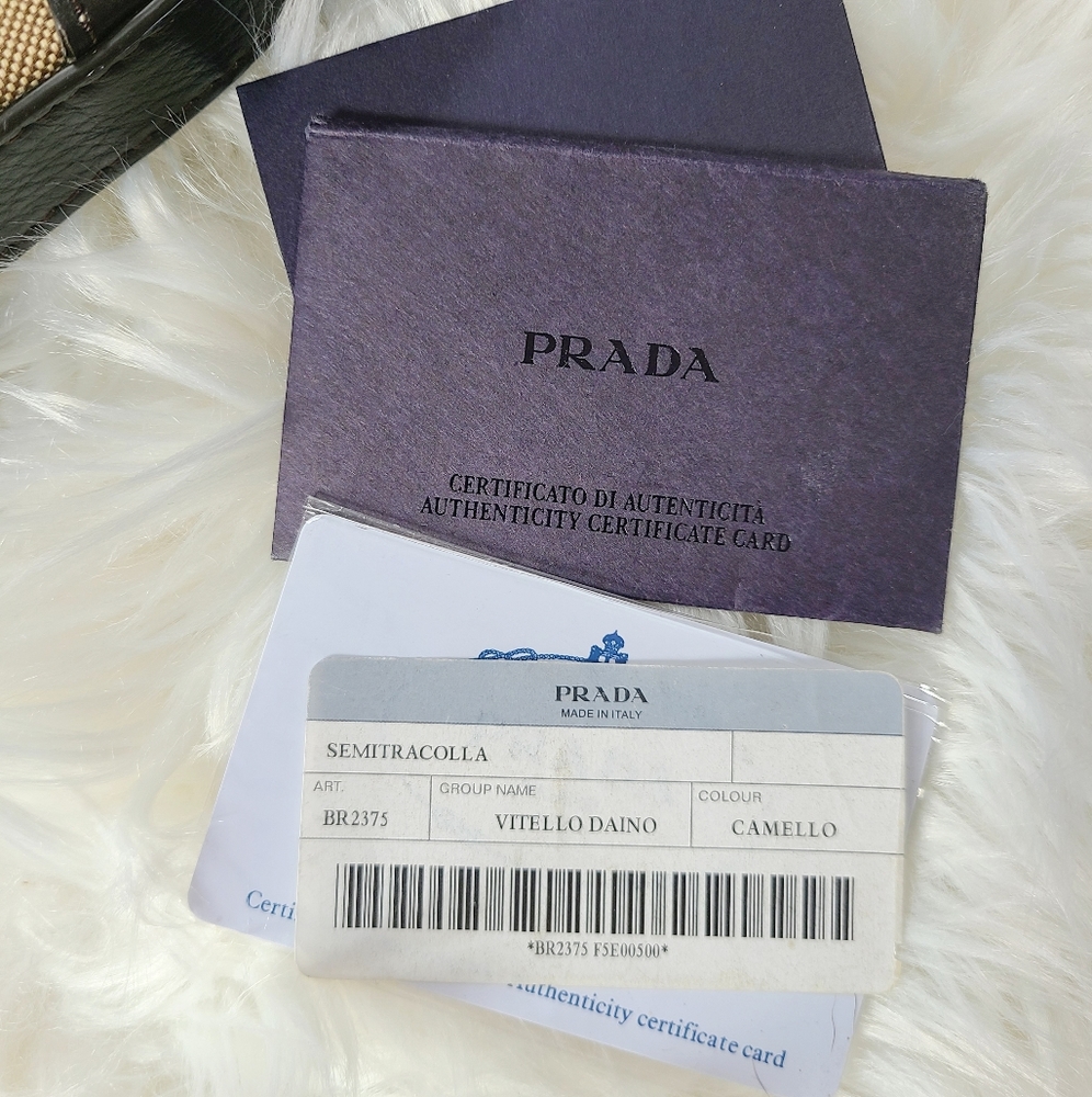 PRADA Luxurious Jacquard Logo Hobo Bag - Picture 16 of 16